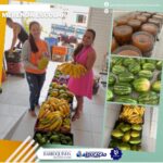 ALIMENTAÇÃO ESCOLAR